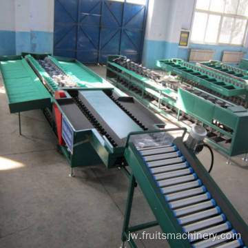 Mesin ngurutake woh-wohan karo conveyor